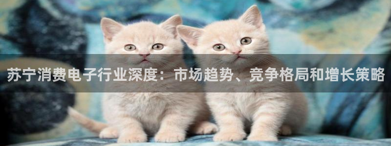 AG凯发|苏宁消费电子行业深度：市场趋势、竞争格局和增长策略