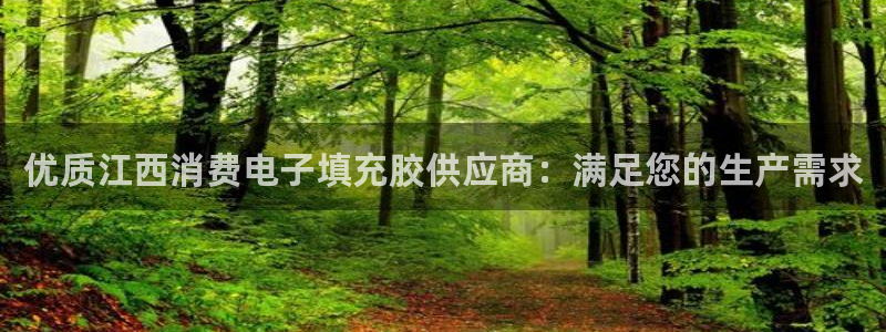 k8凯发国际首页|优质江西消费电子填充胶供应商:满足您的生产需求