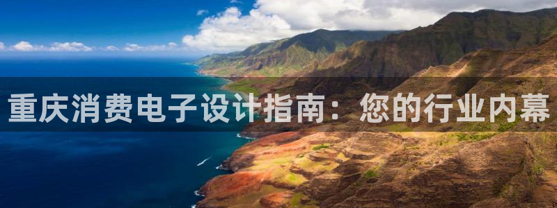 凯发K8国际首页|重庆消费电子设计指南:您的行业内幕