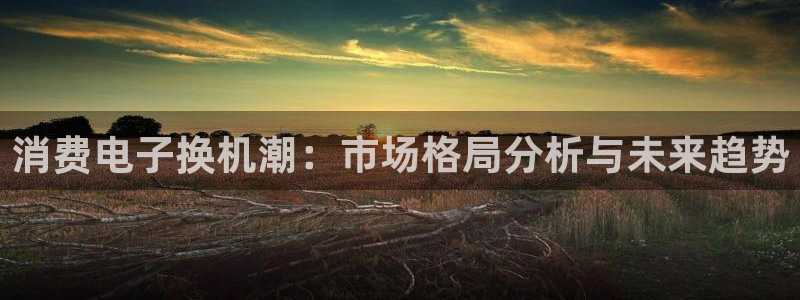 凯发K8天生赢家一触即发官网|消费电子换机潮:市场格局分析与未来趋势